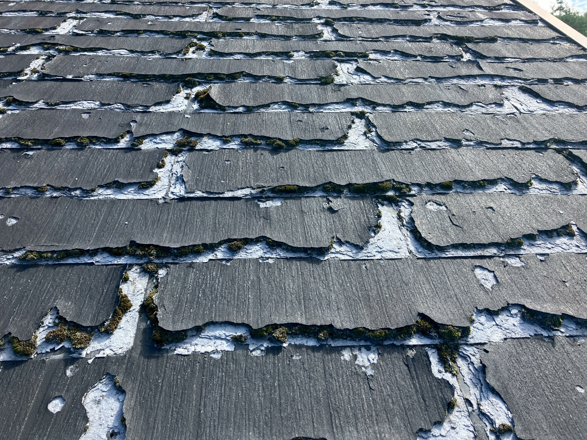 劣化のひどいパミール